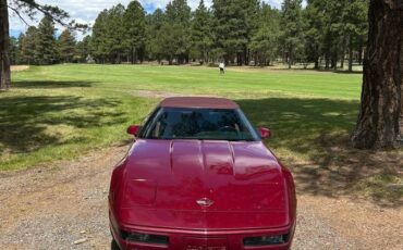 Chevrolet-Corvette-1993-red-62764-2