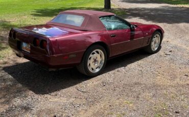 Chevrolet-Corvette-1993-red-62764-5