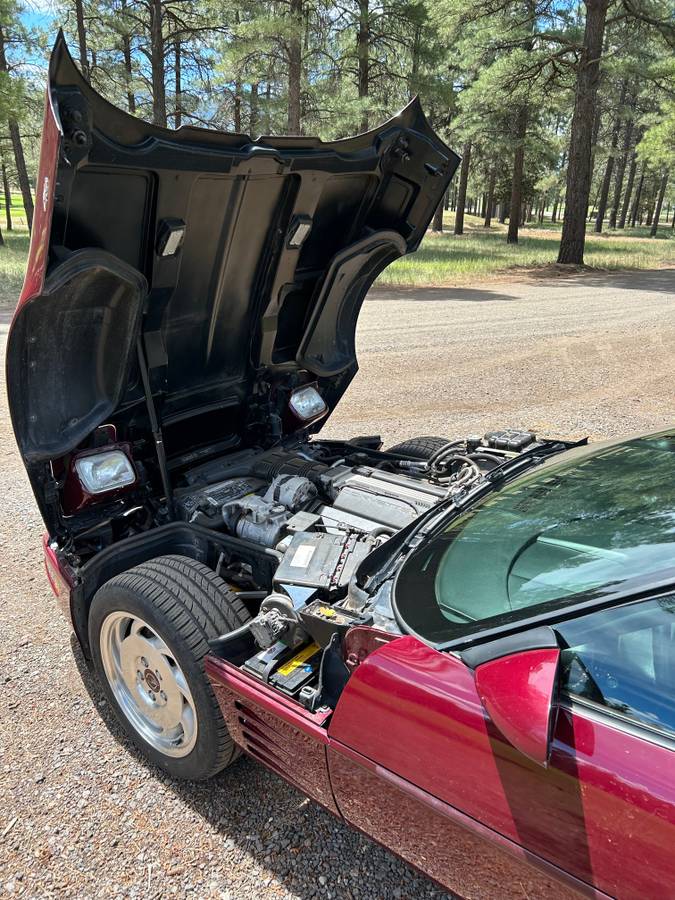 Chevrolet-Corvette-1993-red-62764-7