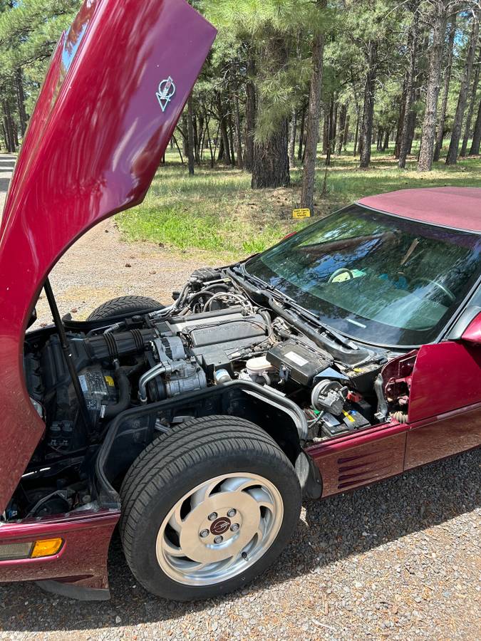 Chevrolet-Corvette-1993-red-62764-8