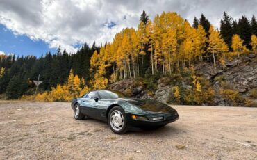 Chevrolet-Corvette-1994-green-114263