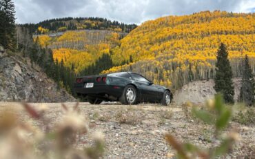 Chevrolet-Corvette-1994-green-114263-4