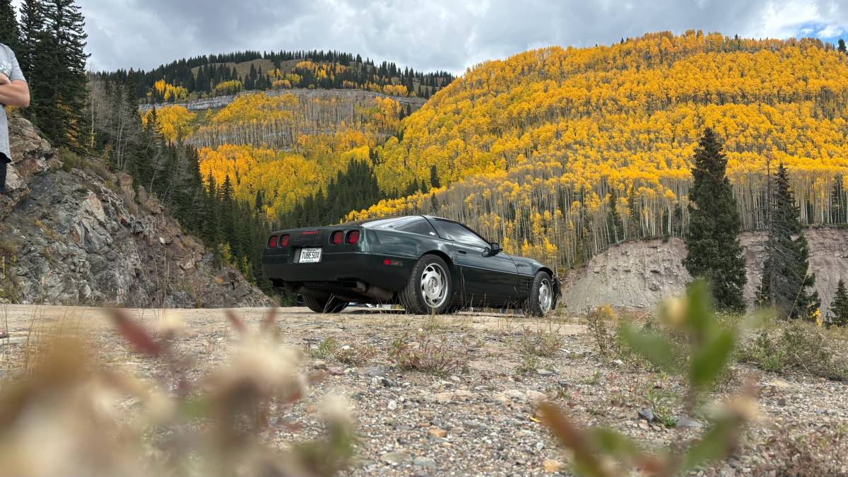 Chevrolet-Corvette-1994-green-114263-4