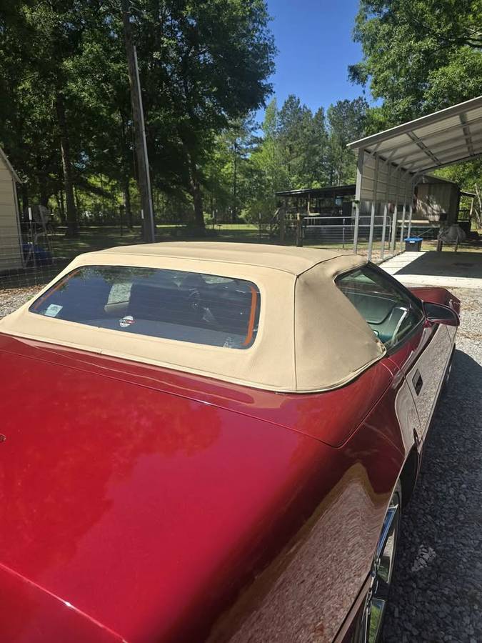 Chevrolet-Corvette-1995-red-138403-4