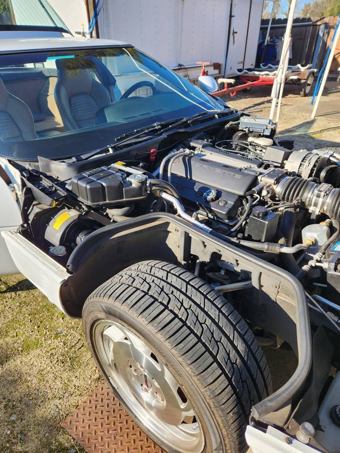 Chevrolet-Corvette-1995-white-170495-9