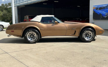 Chevrolet-Corvette-Berline-1975-Gold-Gold-91945-10