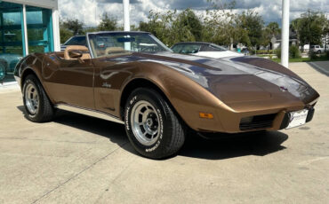 Chevrolet-Corvette-Berline-1975-Gold-Gold-91945-2