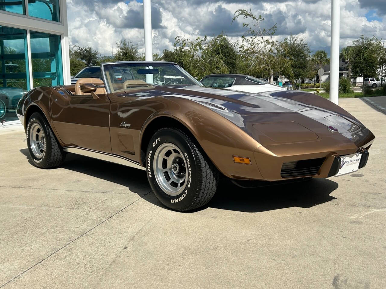 Chevrolet-Corvette-Berline-1975-Gold-Gold-91945-2