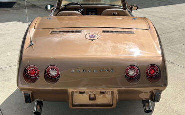 Chevrolet-Corvette-Berline-1975-Gold-Gold-91945-6