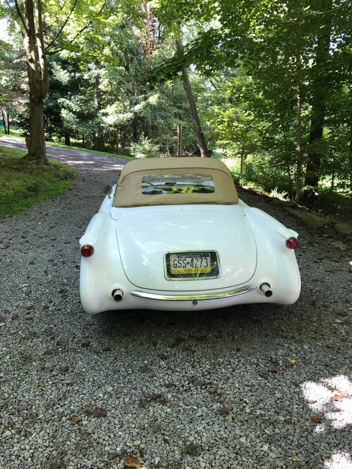 Chevrolet-Corvette-Cabriolet-1954-White-Tan-104607-6