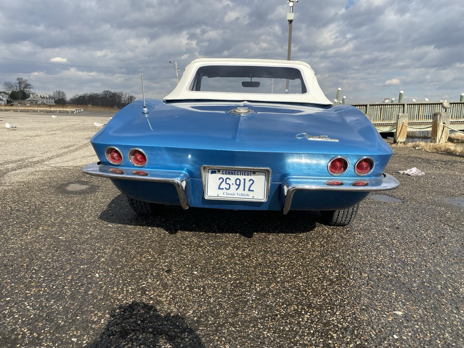 Chevrolet-Corvette-Cabriolet-1965-Nassau-blue-Black-62764-5