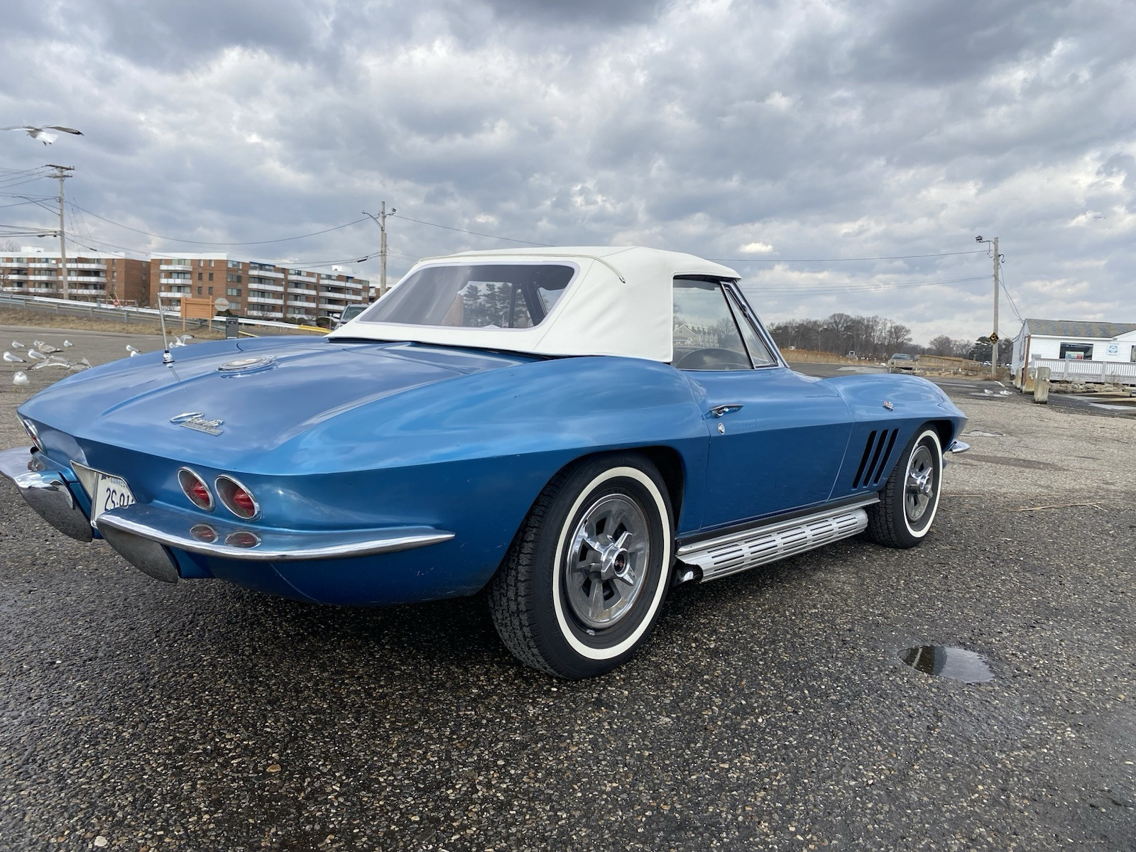 Chevrolet-Corvette-Cabriolet-1965-Nassau-blue-Black-62764-6