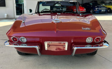 Chevrolet-Corvette-Cabriolet-1966-Maroon-Black-114296-5