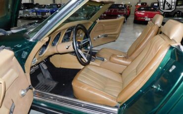 Chevrolet-Corvette-Cabriolet-1969-Green-Tan-56-6