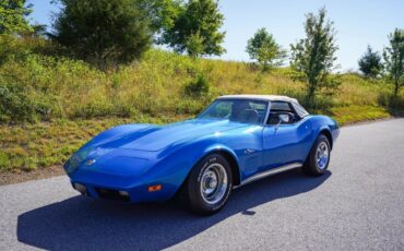 Chevrolet-Corvette-Cabriolet-1974-Blue-Gray-164538-20