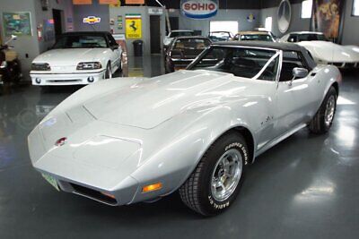 Chevrolet-Corvette-Cabriolet-1974-Silver-Black-130470-1