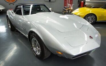 Chevrolet-Corvette-Cabriolet-1974-Silver-Black-130470-3