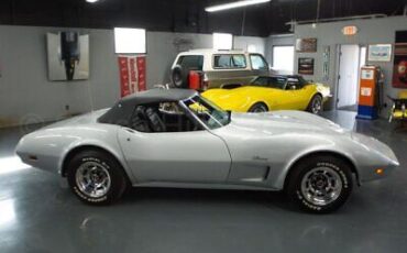 Chevrolet-Corvette-Cabriolet-1974-Silver-Black-130470-4