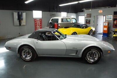 Chevrolet-Corvette-Cabriolet-1974-Silver-Black-130470-4