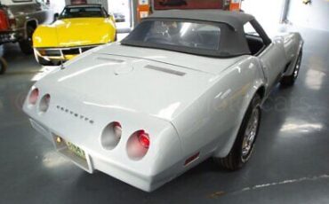 Chevrolet-Corvette-Cabriolet-1974-Silver-Black-130470-5