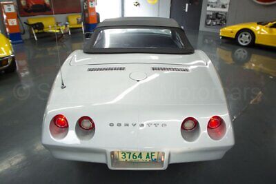 Chevrolet-Corvette-Cabriolet-1974-Silver-Black-130470-6