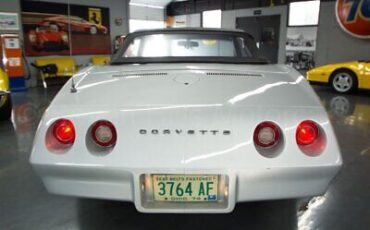 Chevrolet-Corvette-Cabriolet-1974-Silver-Black-130470-7