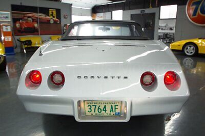 Chevrolet-Corvette-Cabriolet-1974-Silver-Black-130470-7