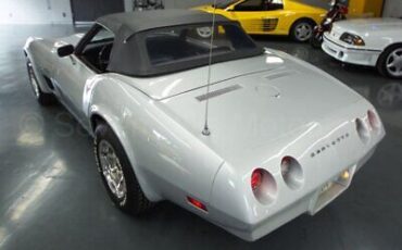 Chevrolet-Corvette-Cabriolet-1974-Silver-Black-130470-8