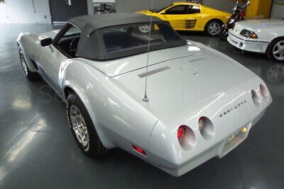 Chevrolet-Corvette-Cabriolet-1974-Silver-Black-130470-8