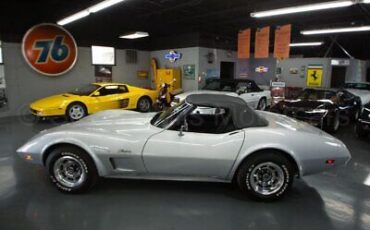 Chevrolet-Corvette-Cabriolet-1974-Silver-Black-130470-9