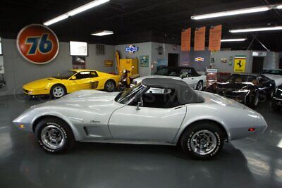 Chevrolet-Corvette-Cabriolet-1974-Silver-Black-130470-9