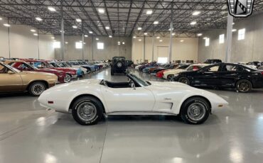 Chevrolet-Corvette-Cabriolet-1974-White-Black-119479-5