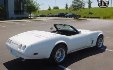 Chevrolet-Corvette-Cabriolet-1974-White-Black-98009-5