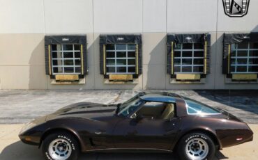 Chevrolet-Corvette-Cabriolet-1978-Brown-Tan-143494-2