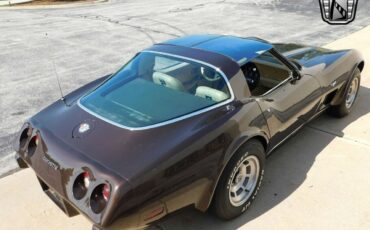 Chevrolet-Corvette-Cabriolet-1978-Brown-Tan-143494-3