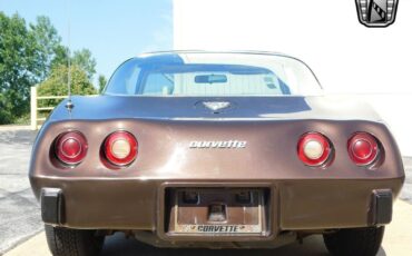 Chevrolet-Corvette-Cabriolet-1978-Brown-Tan-143494-7