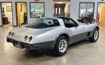 Chevrolet-Corvette-Cabriolet-1978-Silver-Black-95291-15