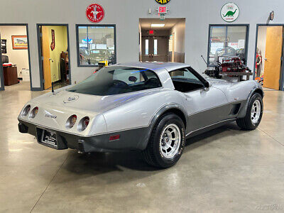 Chevrolet-Corvette-Cabriolet-1978-Silver-Black-95291-6