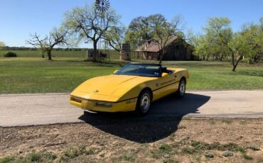 Chevrolet-Corvette-Cabriolet-1986-Yellow-Black-46162-10