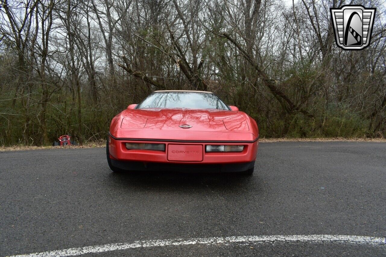 Chevrolet-Corvette-Cabriolet-1990-Red-Red-128031-4