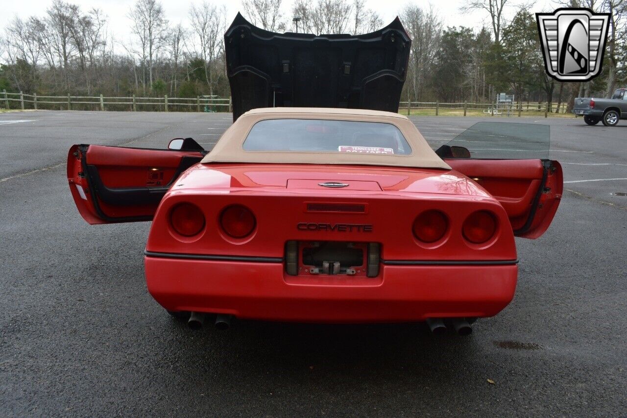 Chevrolet-Corvette-Cabriolet-1990-Red-Red-128031-7