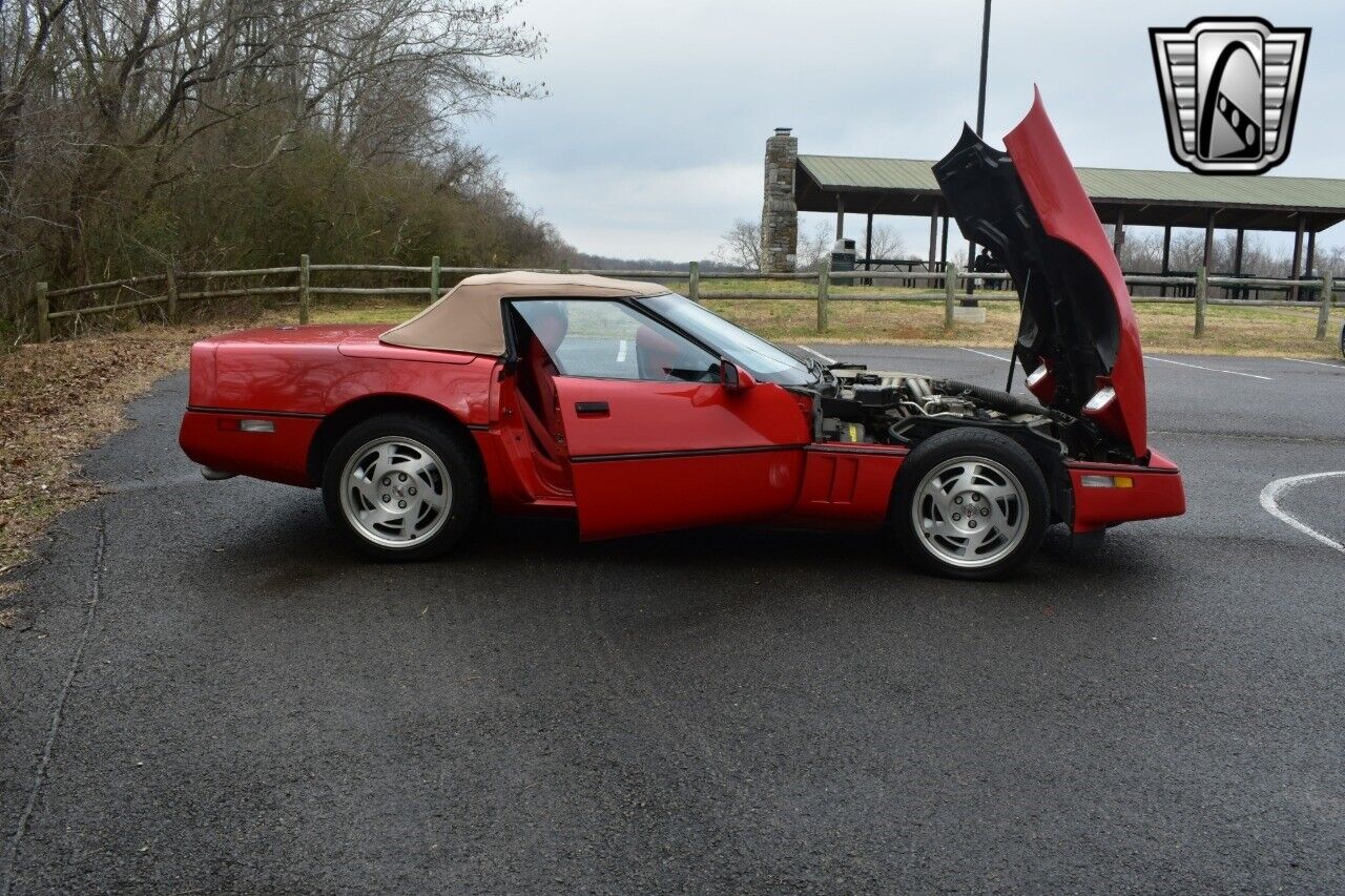 Chevrolet-Corvette-Cabriolet-1990-Red-Red-128031-8