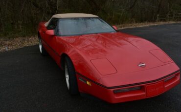 Chevrolet-Corvette-Cabriolet-1990-Red-Red-128031-9