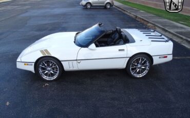 Chevrolet-Corvette-Cabriolet-1990-White-Black-106207-3