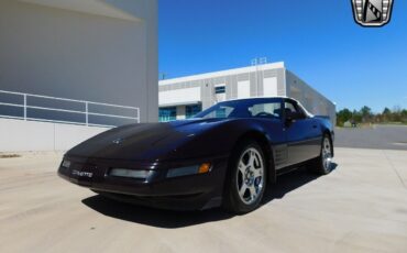 Chevrolet-Corvette-Cabriolet-1993-Black-Gray-120797-5