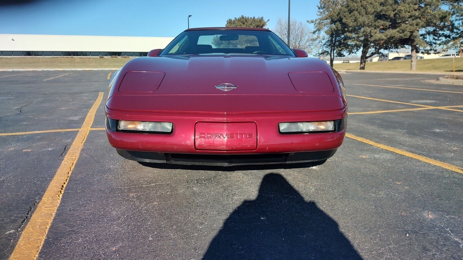 Chevrolet-Corvette-Cabriolet-1993-Burgundy-Burgundy-106994-1