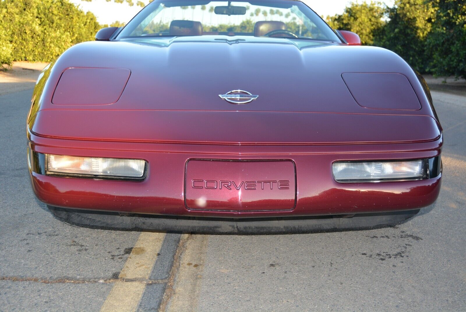 Chevrolet-Corvette-Cabriolet-1993-Burgundy-Burgundy-113716-23