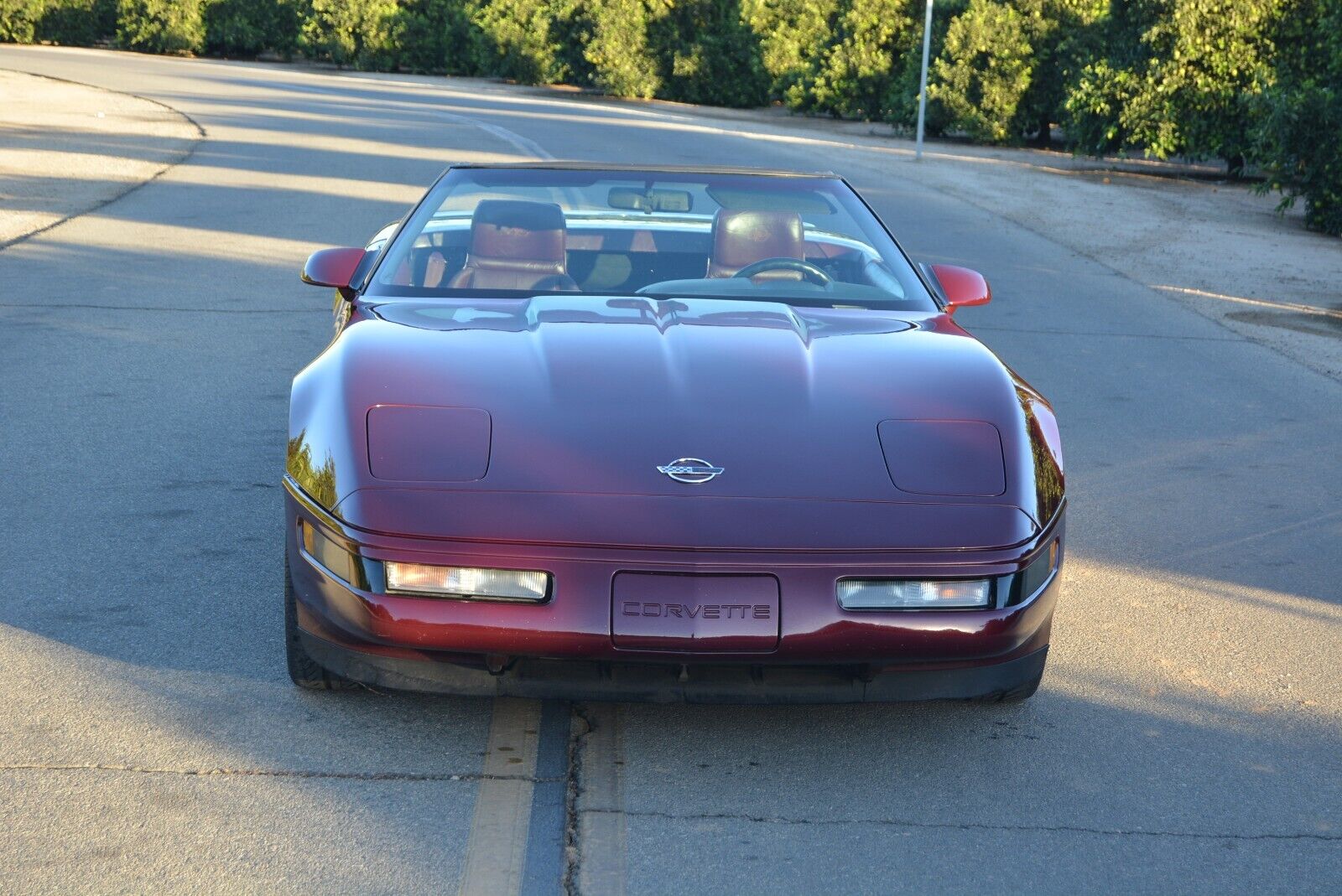 Chevrolet-Corvette-Cabriolet-1993-Burgundy-Burgundy-113716-3