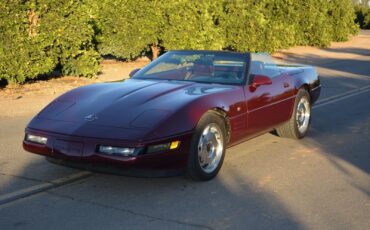 Chevrolet-Corvette-Cabriolet-1993-Burgundy-Burgundy-113716-4