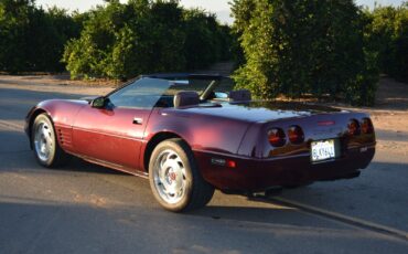 Chevrolet-Corvette-Cabriolet-1993-Burgundy-Burgundy-113716-6